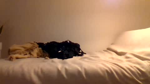 booty4pegging online show from March 3, 2025, 5:39 pm