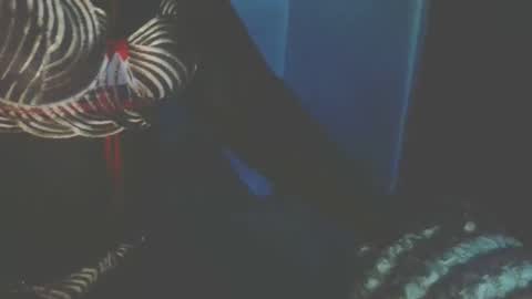 bootylicious254 online show from October 27, 2025, 6:45 pm