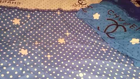 bossetassy online show from December 16, 2025, 4:45 pm