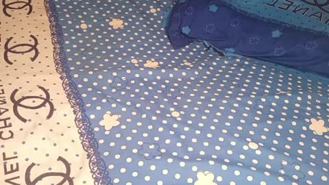 bossetassy online show from April 10, 2026, 5:17 pm