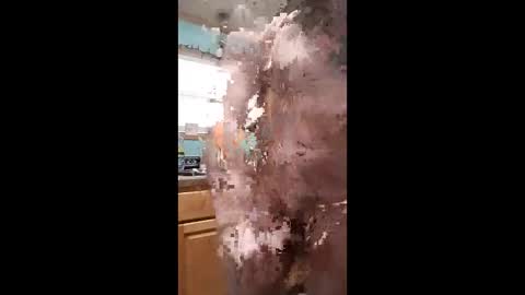 Snapshot of bossusaround chatting on January 11, 2026, 10:04 pm bossusaround online show from January 11, 2026, 10:04 pm