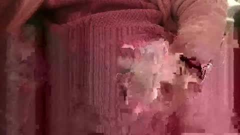 bowieboy online show from November 4, 2025, 12:37 pm