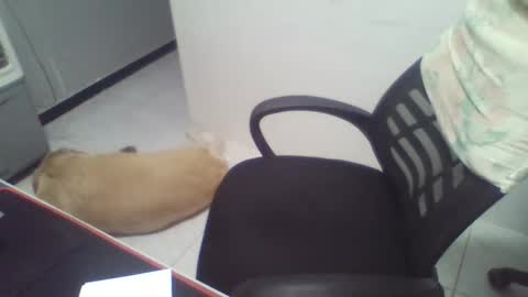 Snapshot of boy_fitbrutal chatting on December 2, 2025, 1:55 am boy_fitbrutal online show from December 2, 2025, 1:55 am