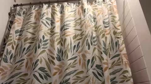 boysetsfire34 online show from March 13, 2026, 5:58 am