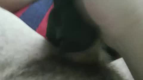 Snapshot of bpllpd chatting on December 23, 2025, 12:41 am bpllpd online show from December 23, 2025, 12:41 am