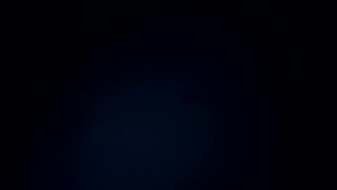 brad444444 online show from November 3, 2025, 5:58 pm