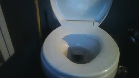 Snapshot of bradynoggle chatting on January 18, 2025, 9:55 pm bradynoggle online show from January 18, 2025, 9:55 pm