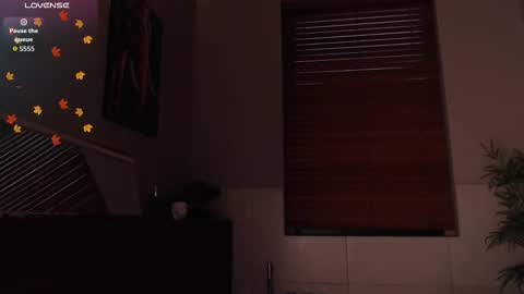 Snapshot of brandon_starkk chatting on February 23, 2026, 11:51 am brandon_starkk online show from February 23, 2026, 11:51 am