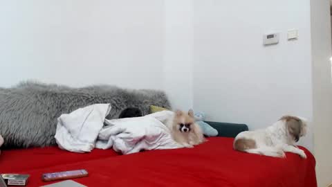 Snapshot of bratzdoll1994 chatting on November 4, 2025, 5:12 pm bratzdoll1994 online show from November 4, 2025, 5:12 pm