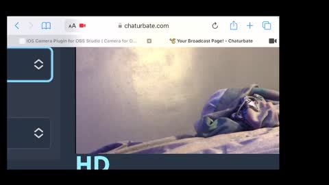 Snapshot of braylensaurex chatting on November 20, 2025, 2:34 am MANTE online show from November 20, 2025, 2:34 am