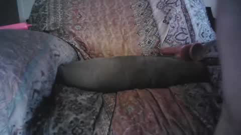 Snapshot of bri20fu chatting on April 29, 2026, 2:21 pm raining down on me online show from April 29, 2026, 2:21 pm