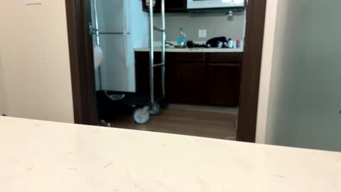 brickmeup online show from April 8, 2026, 10:32 pm