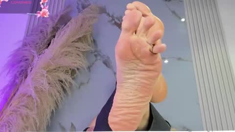 Snapshot of bridgetrodriguez chatting on February 27, 2026, 12:05 pm online show from February 27, 2026, 12:05 pm