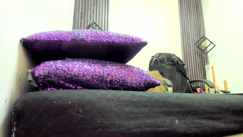 BRIGITTE online show from March 11, 2025, 8:31 pm