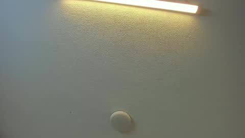 Brittany  online show from February 8, 2026, 8:45 pm