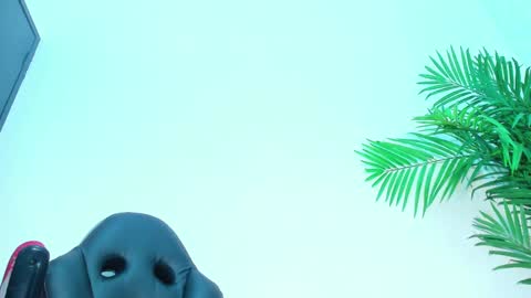 Snapshot of briyit_doll chatting on February 1, 2025, 6:32 am BRIYIT online show from February 1, 2025, 6:32 am