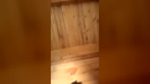 bbc online show from January 16, 2026, 11:25 am