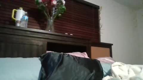 EtherealLilac online show from December 15, 2024, 3:45 am