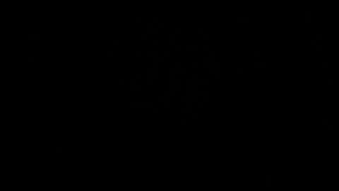 BRUCE online show from May 31, 2026, 3:36 am