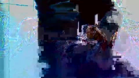 Snapshot of bruno5629 chatting on November 27, 2025, 1:13 pm bruno5629 online show from November 27, 2025, 1:13 pm