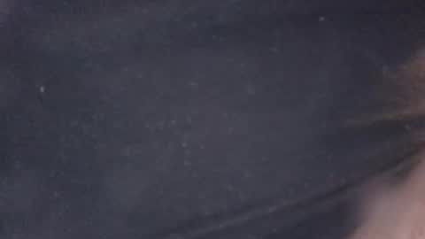 buddyluvzumore online show from October 19, 2025, 4:35 am