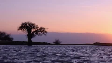 Snapshot of bugphobic chatting on December 4, 2025, 8:39 pm rskbing online show from December 4, 2025, 8:39 pm