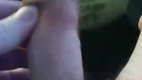 bullemoe online show from January 9, 2025, 7:42 am