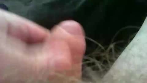 bullemoe online show from November 2, 2025, 11:23 am