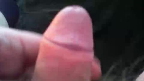 bullemoe online show from November 5, 2025, 7:41 am