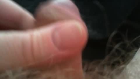 bullemoe online show from February 2, 2026, 9:52 am