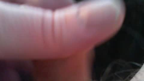 bullemoe online show from February 15, 2026, 7:51 am