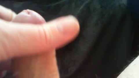 bullemoe online show from March 24, 2026, 10:09 am