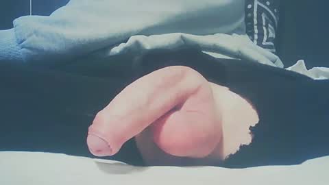 Snapshot of bundy2016 chatting on February 23, 2025, 3:40 pm Dutch cock online show from February 23, 2025, 3:40 pm