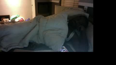 Snapshot of bungalowentertainment chatting on December 17, 2025, 11:16 am Bungalow Entertainment online show from December 17, 2025, 11:16 am