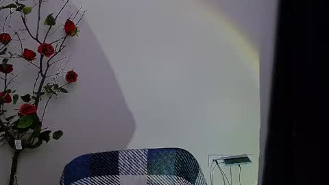 Snapshot of bunnybloom_ chatting on April 28, 2026, 8:03 pm Ariel online show from April 28, 2026, 8:03 pm