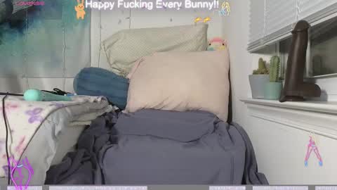 Snapshot of bunnycheekz chatting on December 4, 2024, 11:24 pm Tokki  bunny  online show from December 4, 2024, 11:24 pm