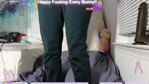 Snapshot of bunnycheekz chatting on December 12, 2024, 2:37 am Tokki  bunny  online show from December 12, 2024, 2:37 am