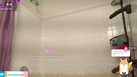 Snapshot of bunnycheekz chatting on February 2, 2026, 5:06 am Tokki bunny online show from February 2, 2026, 5:06 am