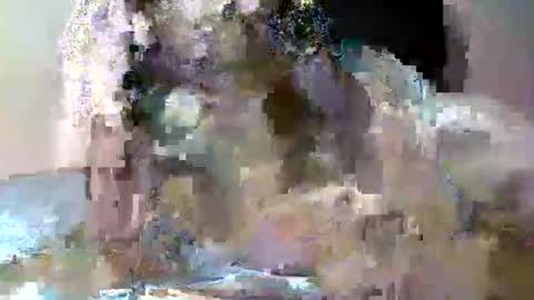 butler_yung online show from May 12, 2026, 9:12 pm