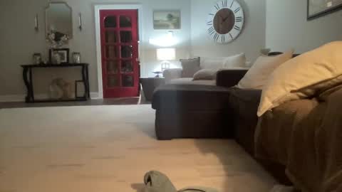 Snapshot of bwc2465 chatting on February 15, 2025, 4:03 am bwc2465 online show from February 15, 2025, 4:03 am