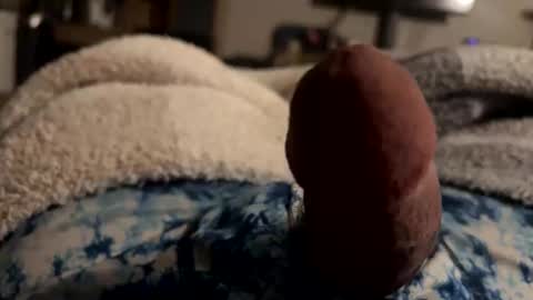 Snapshot of byrdbean chatting on January 17, 2026, 7:46 am byrdbean online show from January 17, 2026, 7:46 am