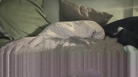 1DontR3member online show from January 14, 2026, 8:53 am