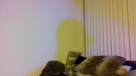 Cal XXX online show from November 1, 2025, 2:13 am