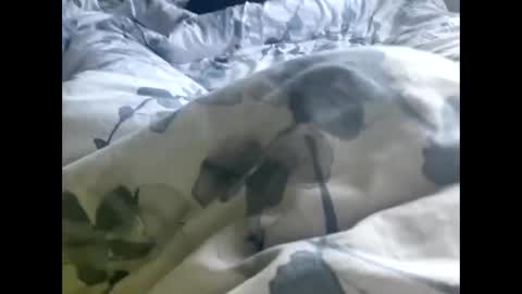 callmedaddyyouslut44 online show from March 2, 2026, 11:50 am