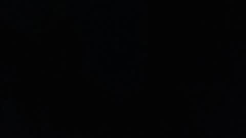 Calvinjohnlad online show from December 24, 2024, 9:11 pm