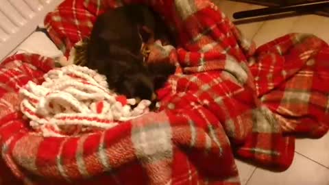 Snapshot of camdoattitude chatting on January 28, 2025, 8:58 pm CamDoAttitude online show from January 28, 2025, 8:58 pm