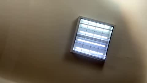 CameronStar online show from December 13, 2024, 8:15 pm