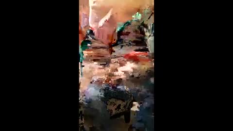 camerontaylorcub online show from March 30, 2026, 8:37 am