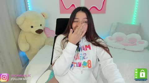 Snapshot of camila_ec2 chatting on March 12, 2025, 1:03 am C A M I online show from March 12, 2025, 1:03 am