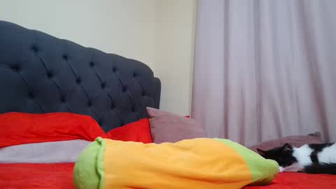 Snapshot of camilabrown23 chatting on February 9, 2025, 9:26 am Camila Browm online show from February 9, 2025, 9:26 am